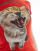 Thumbnail 3 von 4