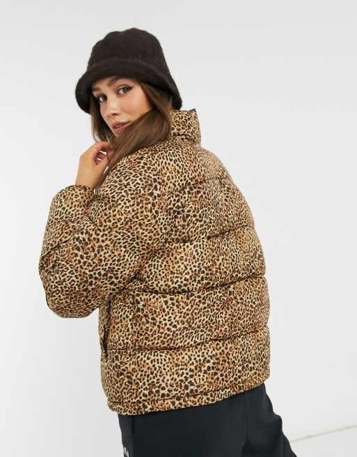 Bb dakota best sale puffer jacket