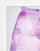 Thumbnail 5 of 6