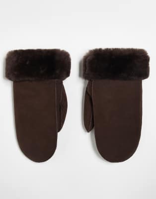 Becksondergaard doa -   brown