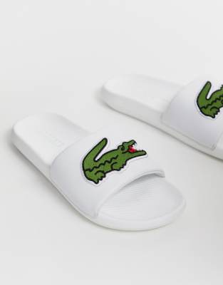 фото Белые шлепанцы с большим логотипом lacoste-белый