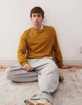 Berghaus Combination_clothing logo crew sweater in clay soil-Brown