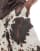 Thumbnail 5 van 5