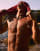 Thumbnail 1 van 3