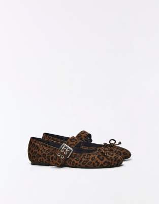 Leopard 4