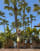 Thumbnail 3 von 3
