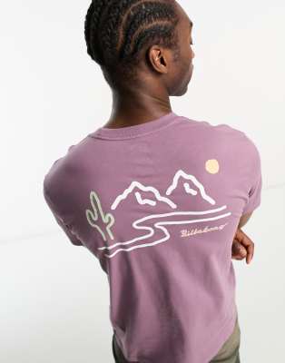 Billabong panorama t-shirt in pink