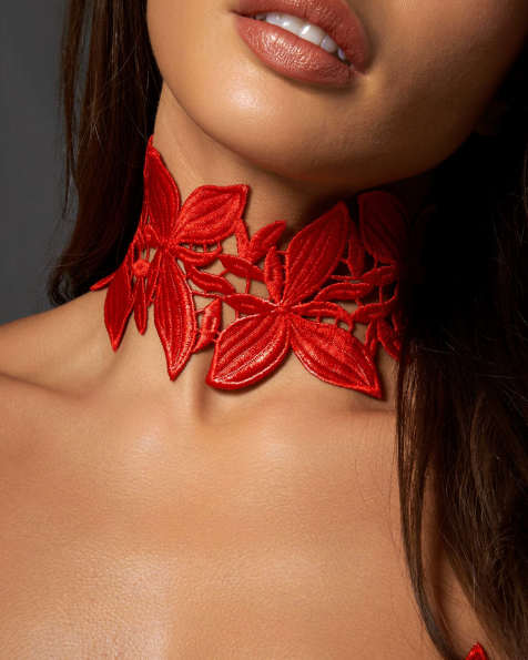 Bluebella Ophelia Emboidered Choker in Red - view 1