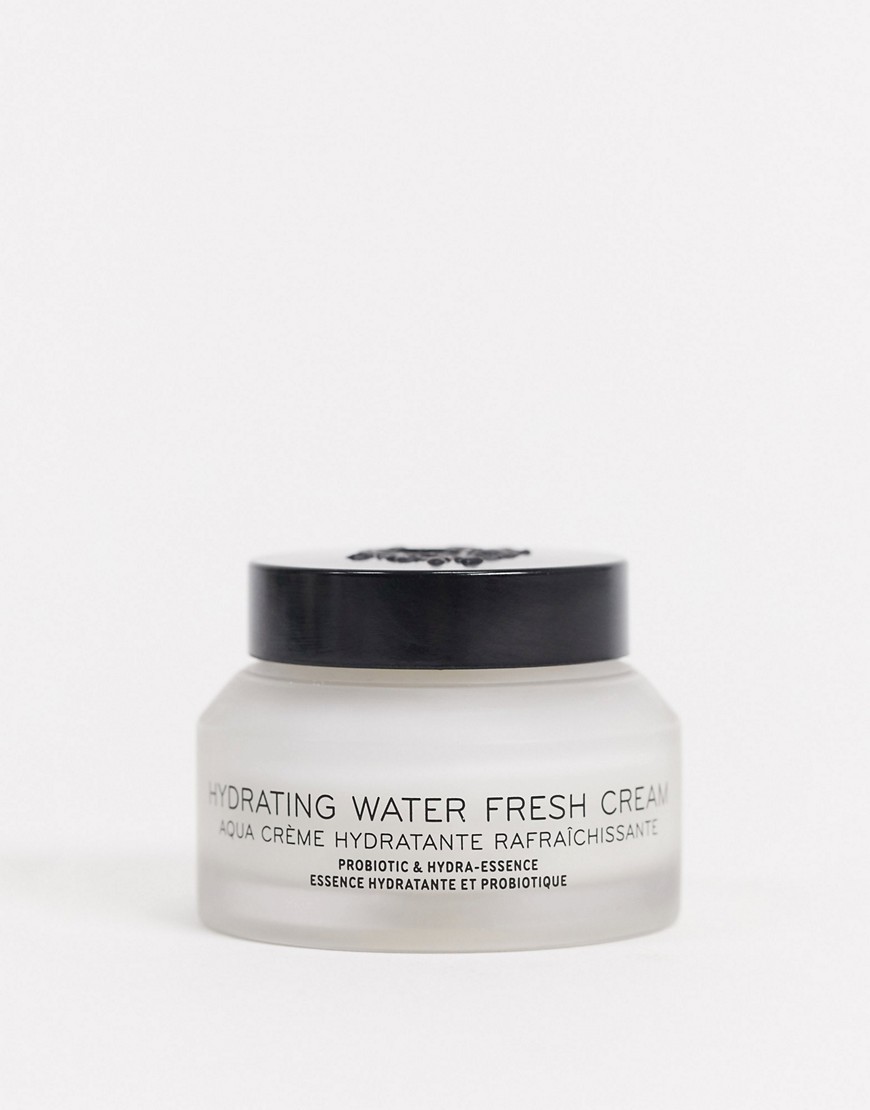 Bobbi Brown – Hydrating Water Fresh Cream-Ingen färg