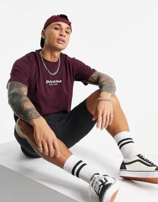 Однотонные футболки Бордовая футболка Dickies Central 1922-Красный