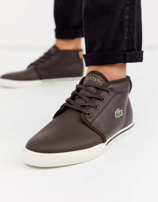 temblor Deliberadamente Separar Botines chukka en marrón Amptill de Lacoste | ASOS