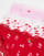 Thumbnail 3 van 3