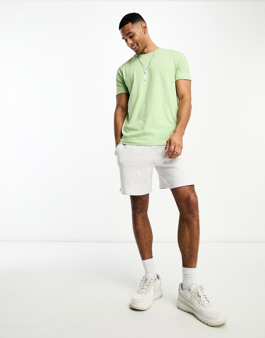 Brave Soul crew neck T-shirt in pale green