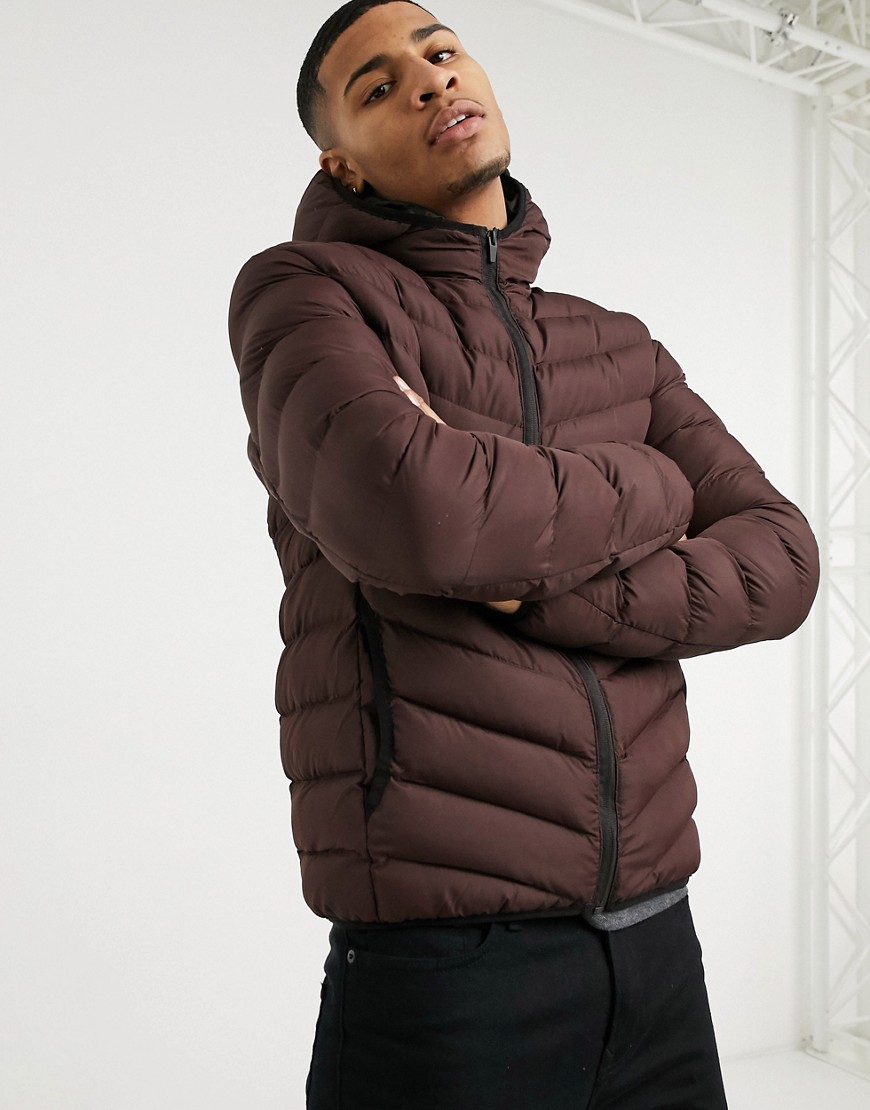 Brave Soul hooded puffer jacket in burgandy-Red