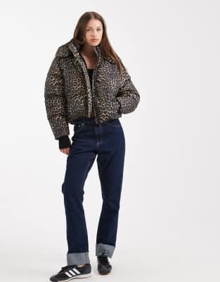 Brave Soul Hooded Puffer Jacket In Multi