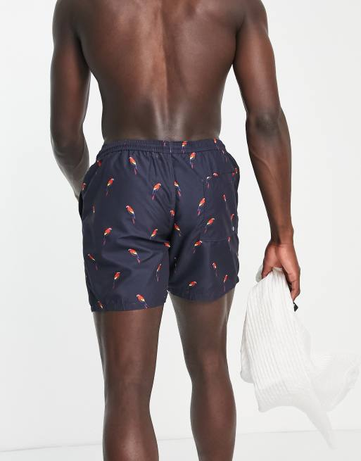 Brave Soul - Marineblå badeshorts med papegøjeprint, 2 af 4