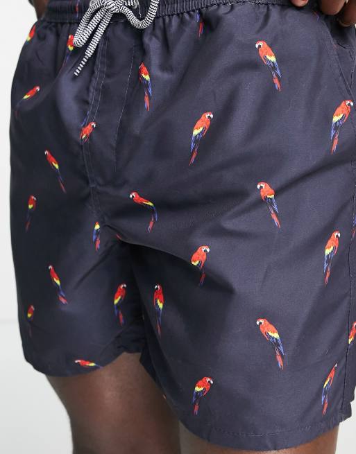 Brave Soul - Marineblå badeshorts med papegøjeprint, 4 af 4