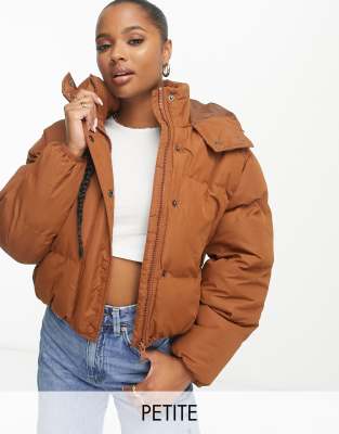 Brave Soul Petite Bunny hooded puffer jacket in tan - ASOS Price Checker