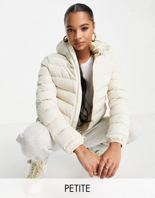 Brave Soul Petite grant hooded puffer jacket in cream