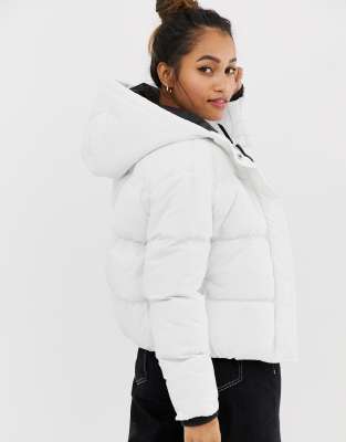 brave soul petite karen padded coat with hood