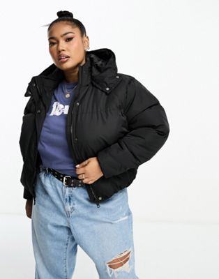 Brave Soul Plus bunny hooded puffer jacket in black - ASOS Price Checker