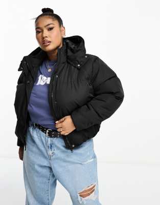 Brave Soul cropped puffer jacket in black