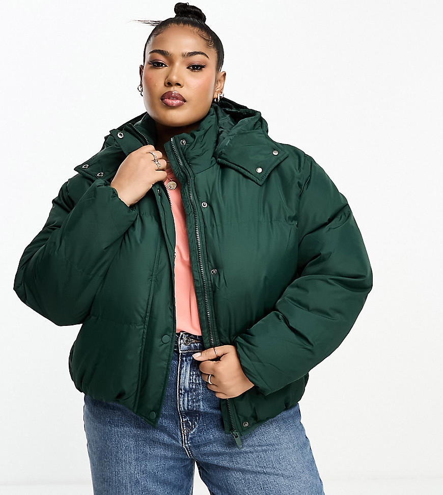 brave soul plus bunny hooded puffer jacket in forest green