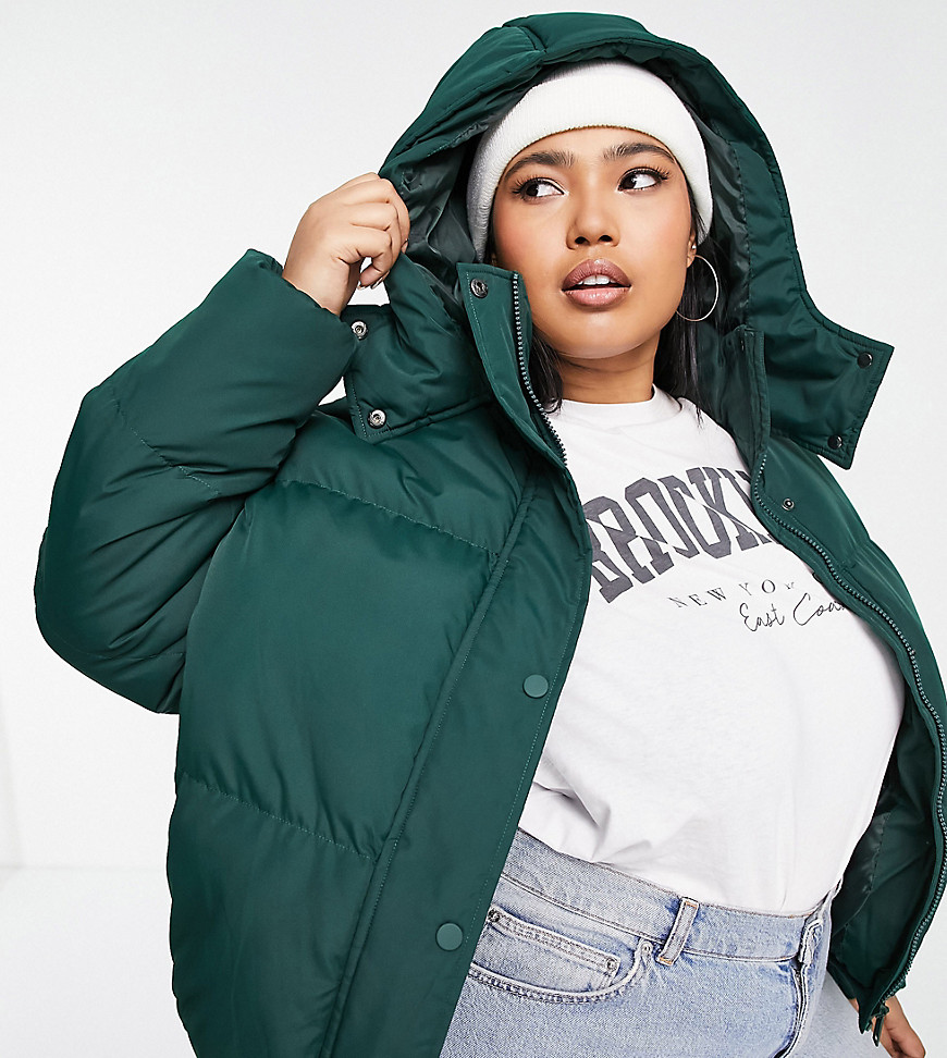 Brave Soul Plus bunny hooded puffer jacket-Green