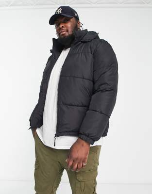 Brave Soul Plus Puffer Jacket With Hood In Black