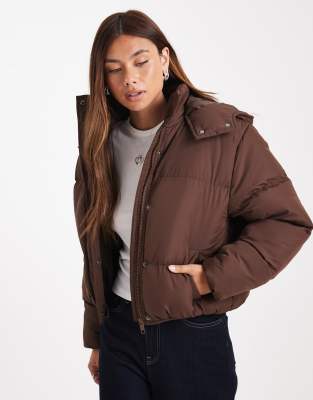 Brave Soul - Pufferjacke in Braun mit Kapuze-Brown