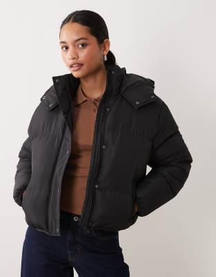 Brave Soul Short Puffer Jacket With Hood In Black