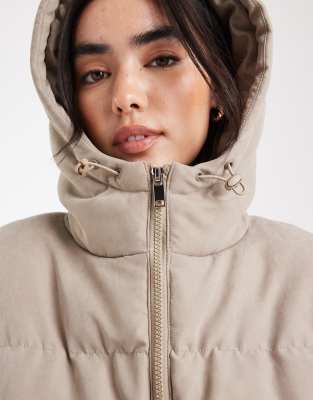 Brave Soul Short Puffer Jacket With Hood In Neutral