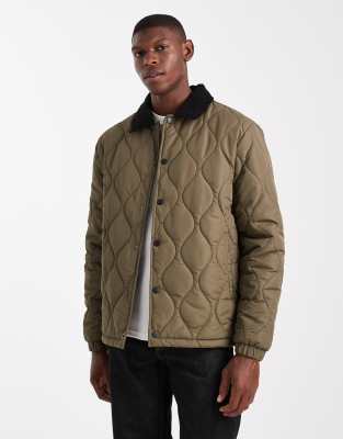 Brave Soul Brave Soul short quilted jacket with collar in khaki-Green