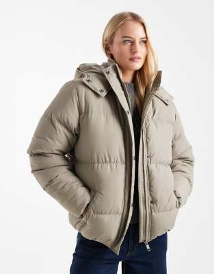 Brave Soul Tall - Cropped Pufferjacke in Salbeigrün mit Kapuze