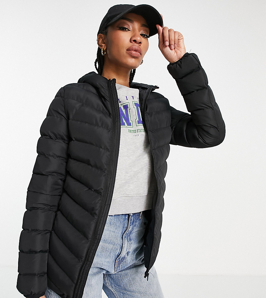 Brave Soul Tall Grant Hooded Puffer Jacket In Black