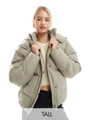 Brave Soul Brave Soul Tall hooded puffer jacket in sage green