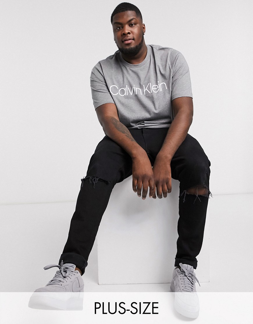 Calvin Klein Big and Tall logo t-shirt in grey