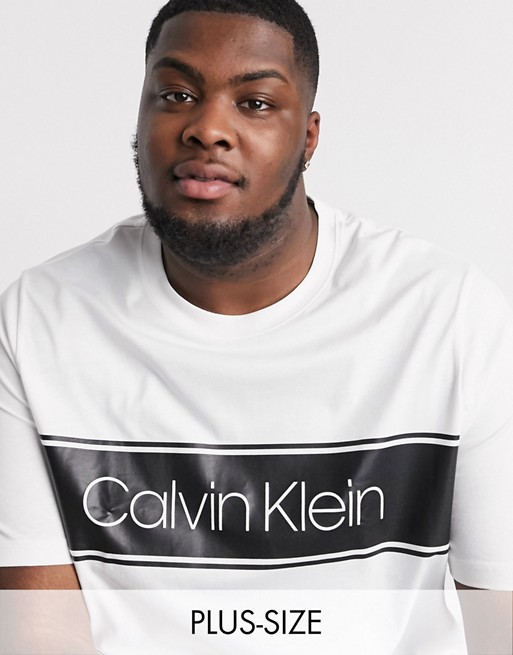 Calvin Klein Big & Tall ASOS exclusive stripe logo t-shirt in white