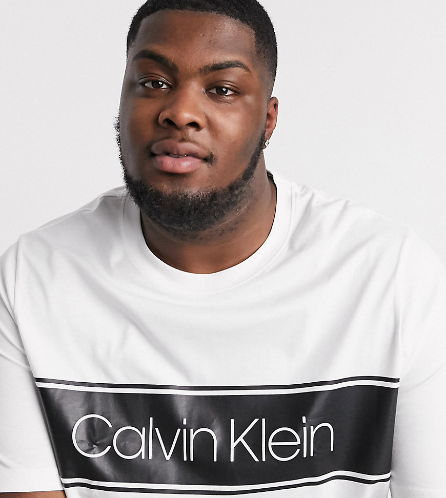 Calvin Klein Big & Tall ASOS exclusive stripe logo t-shirt in white