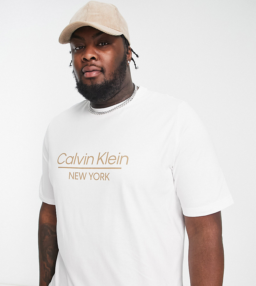Calvin Klein Big & Tall center logo t-shirt in white