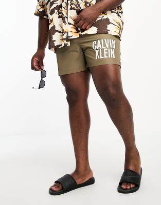 Calvin Klein Logo Swim Shorts In Green