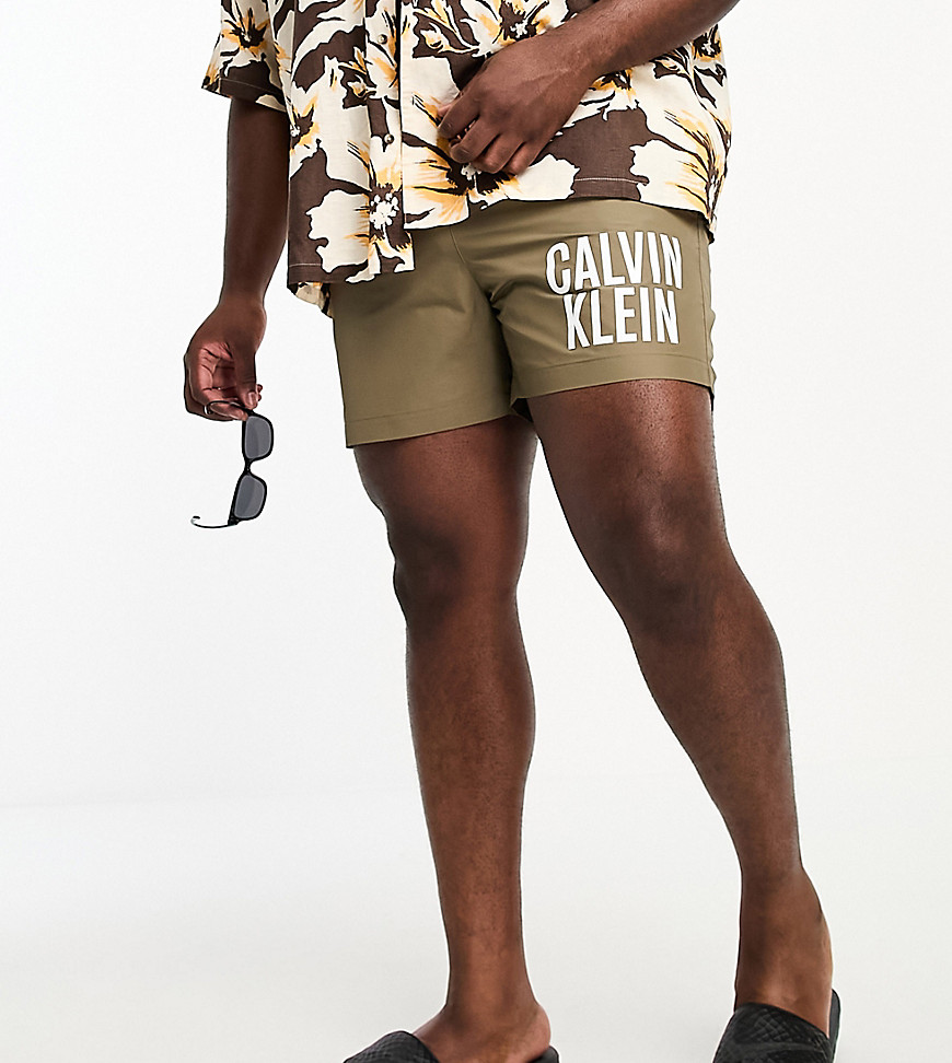 Calvin Klein Logo Swim Shorts In Green