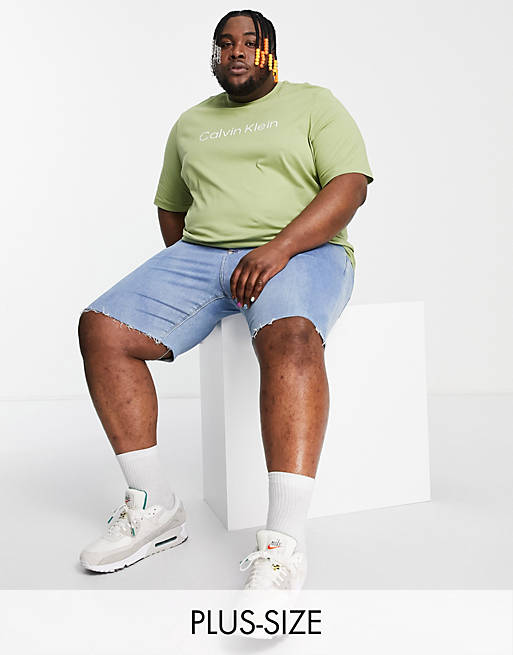 Calvin Klein Big & Tall raised striped logo t-shirt in green | ASOS