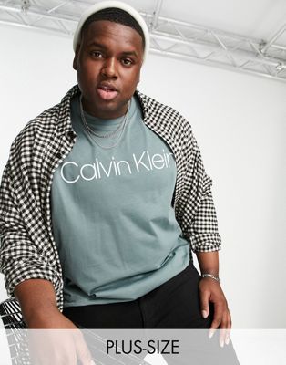 Marques de designers Calvin Klein - Big & Tall - T-shirt à logo sur le devant - Vert