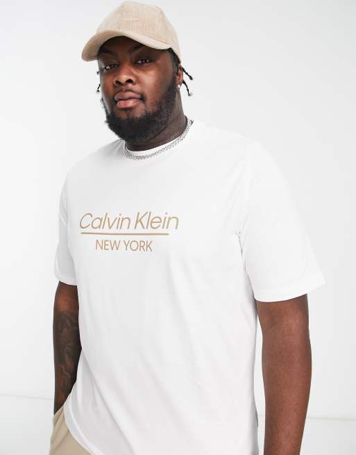 Calvin Klein Big & Tall - T-shirt avec logo au centre - Blanc