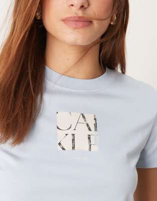 Calvin Klein Jeans Est.1978 Box Graphic T-shirt In Blue