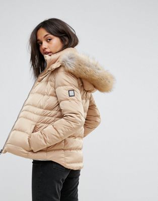 calvin klein down and feather jacket