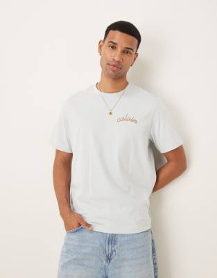 Calvin Klein Jeans embroidered chest logo t-shirt in pale blue - view 1