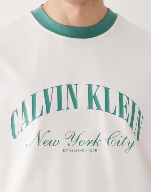 Calvin Klein Jeans – Hochwertiges, kastiges Relaxed-Fit-T-Shirt aus schwerem Stoff in Weiß und Grün mit Oversize-Passform, 5 von 5