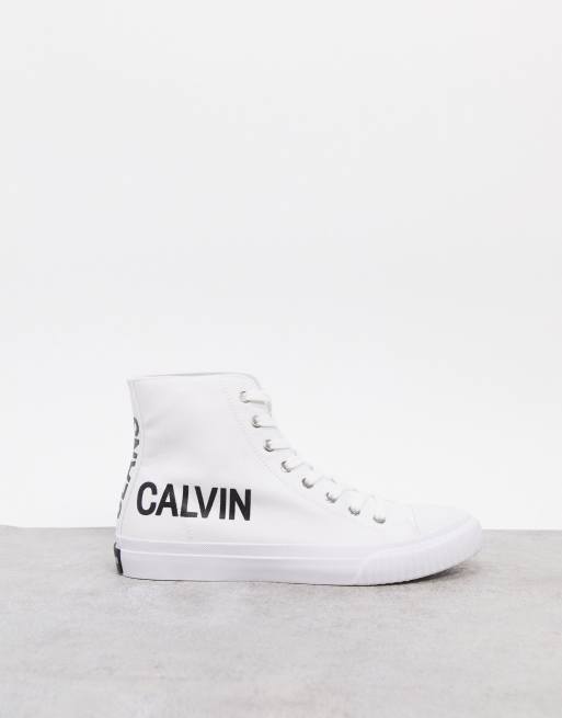 Calvin 2025 klein iacopo